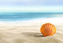 法國法令2019-1007協調與某些非食品產品安全有關的監管規定